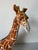 Ceramic Vintage Italian Handcrafted Terracotta Giraffe Sculpture For Sale - Image 7 of 12