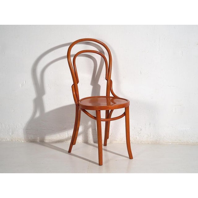 Chairs from Thonet, 1920s, Set of 4 For Sale - Image 14 of 17