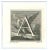 Carlo Nolli, Antiquities of Herculaneum, Alphabet A, Etching, 18th-Century For Sale