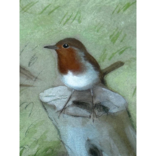 1970s A Winter Gathering: Robin and Mixed British Songbirds — Original Watercolor on Paper in the Tradition of Archibald Thorburn For Sale - Image 5 of 18