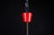1950s Large Mid-Century 18-Arms Chandelier in the manner of Arredoluce, Italy, 1950s For Sale - Image 5 of 12