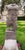 Stone Italian Artist, Sculpture of Apollo Torso, 1980, Stone For Sale - Image 7 of 11