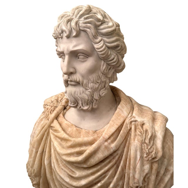 Bust of Roman Emperor Septimius Severus on Black Marble Base. Italy 20th Century For Sale - Image 9 of 10