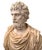 Bust of Roman Emperor Septimius Severus on Black Marble Base. Italy 20th Century For Sale - Image 9 of 10