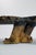California Buckeye Burlwood Cocktail Table by Mountain Craft, 1970s For Sale - Image 4 of 18
