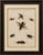 Title: Antique Crickets & Mole Cricket Engraving – Bertuch, 1807 Original antique hand-colored copper engraving depicting...
