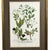 Weinmann 1739 Cherry Blossoms & Fruits Mezzotint | Hand-Colored Johann Weinmann Botanical Print For Sale - Image 4 of 9