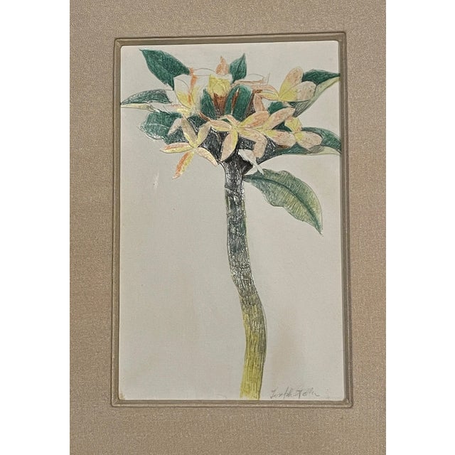 American Joseph Stella (American, 1877–1946) Floral Study, Pencil and Crayon on Paper For Sale - Image 3 of 6