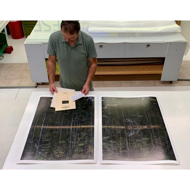 "Deep_Mirroring_Forest_011" Diptych, Limited Edition Fine Art Photograph by Bernhard Lang, Set of 2 For Sale - Image 10 of 13