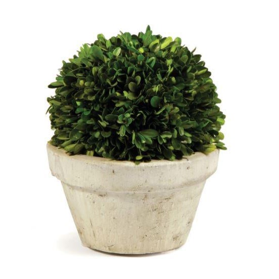 English Kenneth Ludwig Chicago Boxwood Ball in Pot For Sale - Image 3 of 3