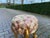A beautiful 1970s French Louis XVI-style bench / pouf stool, crafted from carved beech wood with a rich gilt finish and...
