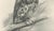 1900 - 1909 Lilian M. Medland, Eurasian Hobby Falcon, 1908, Monochrome Ornithological Plate on Paper For Sale - Image 5 of 10