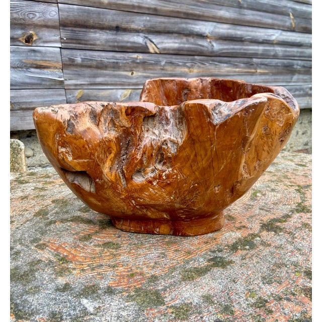 Large Sculptural Olive Wooden Bowl, 1960s For Sale - Image 6 of 8