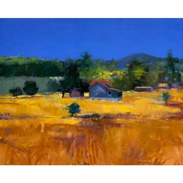Greg Osterhaus’s work captures the pastoral landscapes of Virginia through instinctive, impressionistic brushstrokes and a...
