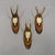 Set of Six Roe Deer Trophies on Wooden Slices Germany Ca. 1950s For Sale - Image 6 of 8