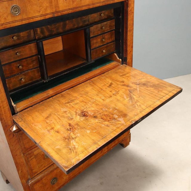 Wood Biedermeier Secretary in Lemonwood and Ebony For Sale - Image 7 of 16