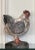A hand painted distressed finish adorns this colorful hand carved rustic European style rooster. Crafted from solid wood...