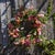 Kenneth Ludwig Chicago Mixed Floral and Foliage Wreath 20"D For Sale - Image 4 of 4