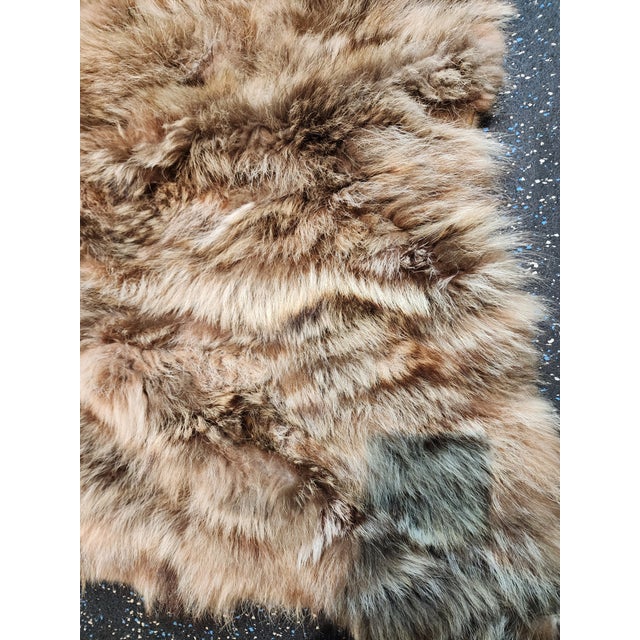 2020s Fabulous Coyote Fur Throw For Sale - Image 5 of 7