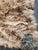 2020s Fabulous Coyote Fur Throw For Sale - Image 5 of 7