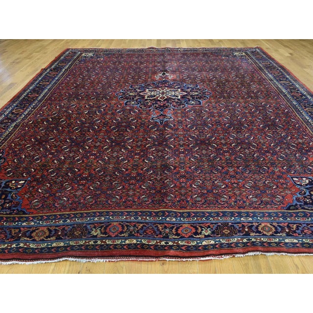 This is a genuine hand knotted oriental rug. It is not hand tufted or machine made rug. Our entire inventory is made of...