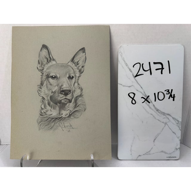 1940s Original Signed Graphite Illustration of German Shepherd Dog Portrait, 10.75 × 8 In. For Sale In Atlanta - Image 6 of 6