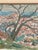 Rune Persson, Landscape, 1950s, Oil on Canvas, Framed For Sale - Image 12 of 18
