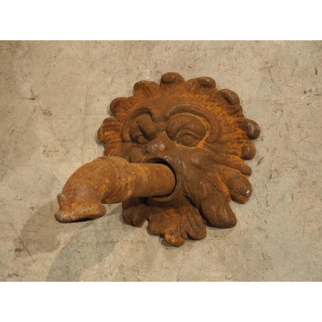 French Cast Iron Mascaron Spout With Backplate For Sale - Image 4 of 7