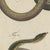 Bertuch, Four Snakes in Colourful Coils, 1805, Print For Sale - Image 9 of 12