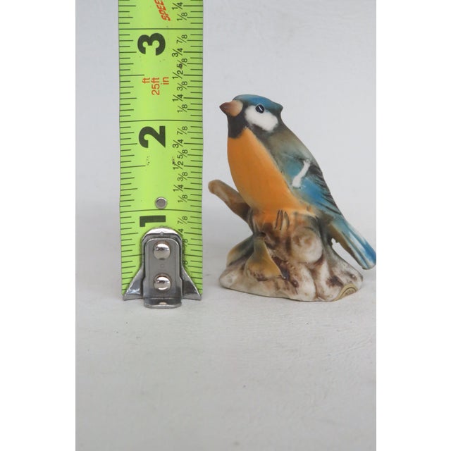 Capodimonte Savastano Eurasian Blue Tit Ceramic Figurine Bird on a Branch 4496b For Sale - Image 9 of 17