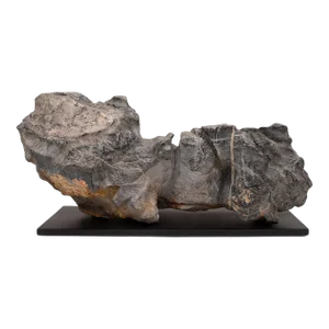"Recumbent Lion" Chinese Lingbi Scholars' Rock