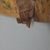 Tan Antique Side of a Sicilian Cart For Sale - Image 8 of 11