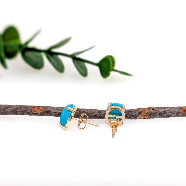 2020s Oval 8x6mm - Arizona Sleeping Beauty Turquoise Solitaire Studs in 14k Solid Gold- Set of 2 For Sale - Image 5 of 5