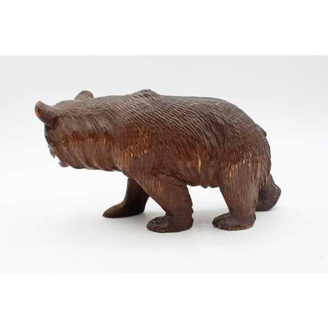 Late 19th Century Late 19th Century Swiss Small-Medium Size Strolling Black Forest Bear For Sale - Image 5 of 6
