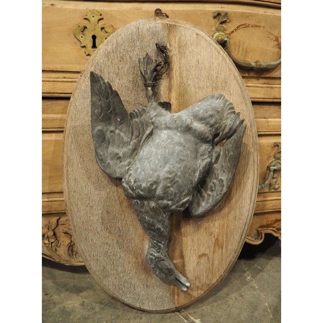 Pair of Circa 1890 Weathered French Hunt Trophies on Natural Oak Oval Panels For Sale - Image 13 of 18