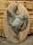 Pair of Circa 1890 Weathered French Hunt Trophies on Natural Oak Oval Panels For Sale - Image 13 of 18