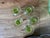 Mid-Century Modern Vintage Cordial Limoncello 5 Glass Bormioli Rocco Italian Set For Sale - Image 3 of 4