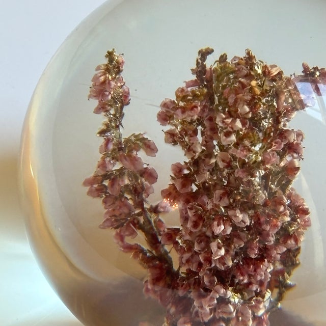 Mid-20th Century Floral Inclusion Resin Paperweight For Sale - Image 11 of 14