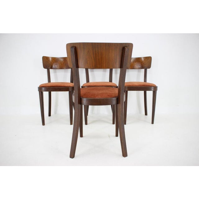 Brown Dining Chairs, Former Czechoslovakia, 1940s, Set of 4 For Sale - Image 8 of 15