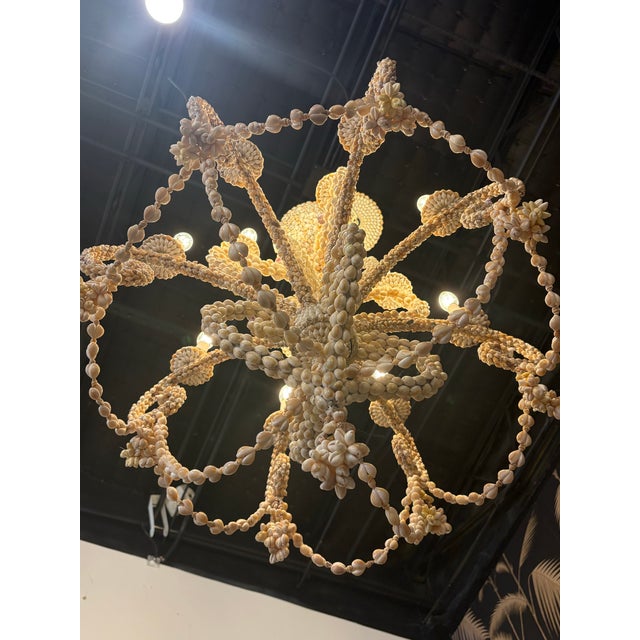 Tony Duquette Vintage Coastal Shell Seashell Encrusted Coastal Palm Beach 12 Light Chandelier For Sale - Image 4 of 12