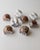 Late 20th Century Vintage Italian Napkin Rings, 1980s, Set of 8 For Sale - Image 5 of 11