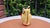 Art Deco Ceramic Toucan Vase by Ditmar Urbach Erphila, 1930s For Sale - Image 3 of 8