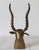 Brass Vintage Brass Antelope Sculpture For Sale - Image 8 of 12