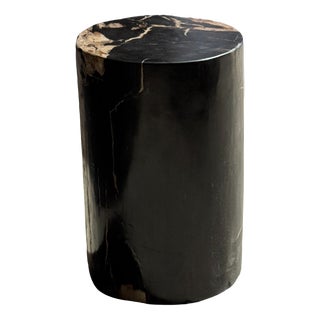 Side Table in Black Petrified Wood with Beige Stripes and Sides For Sale