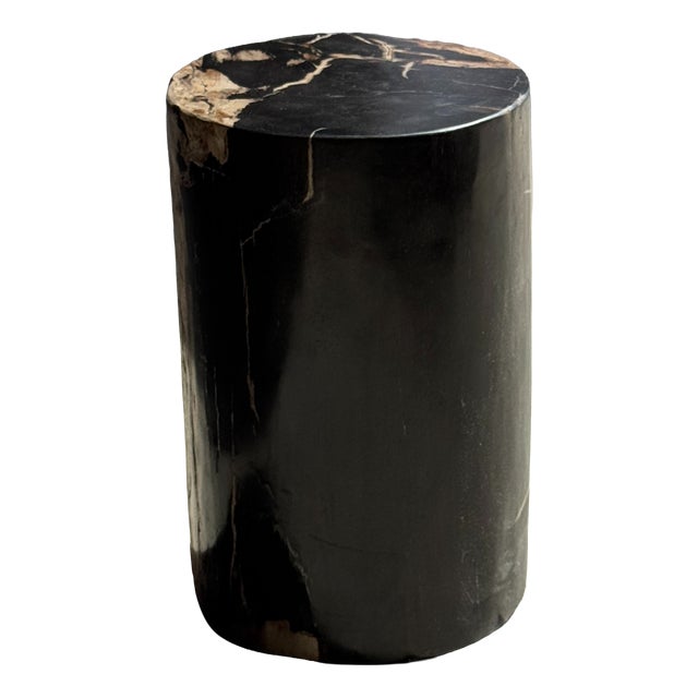 Side Table in Black Petrified Wood with Beige Stripes and Sides For Sale