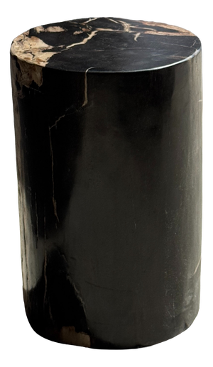 Side Table in Black Petrified Wood with Beige Stripes and Sides