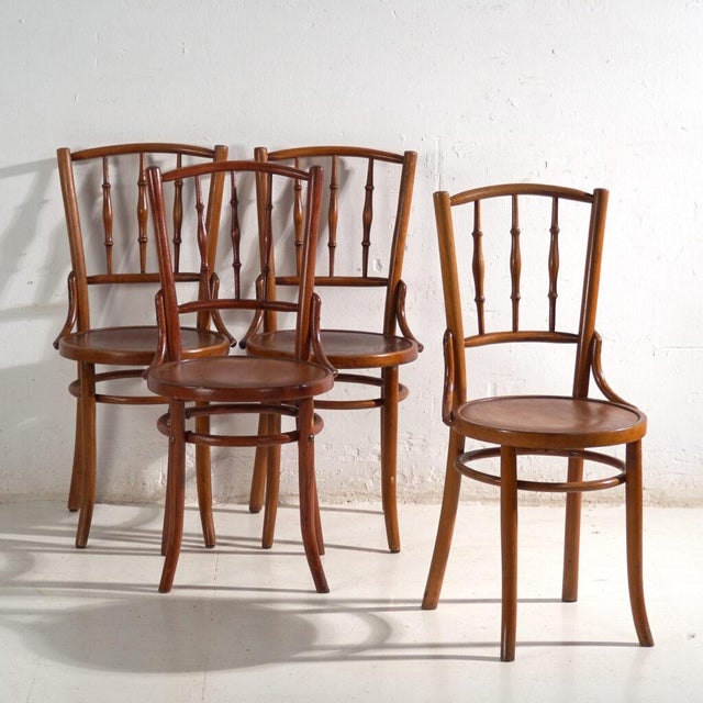 Bentwood Chairs in the style of Thonet, Central Europe, 1930, Set of 4 For Sale - Image 17 of 17