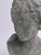 Bust of Eros in Bronzed Plaster For Sale - Image 10 of 12