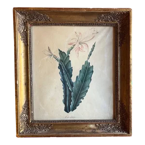 Antique Early 19th Century English Regency Botanical Watercolor Painting of a Blooming Cactus in French Empire Frame