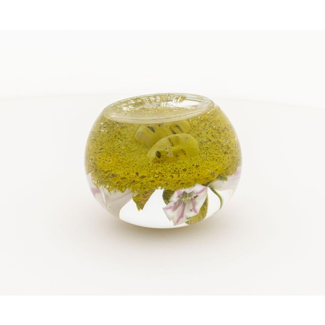Light Green Paul Stankard Botanical Glass Paperweight, 2003 For Sale - Image 8 of 12